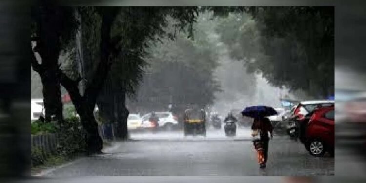 २ दिवसांत पावसाचे २४ बळी, ५५ जनावरे दगावली